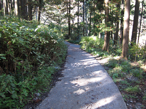 20201105hike (231)
